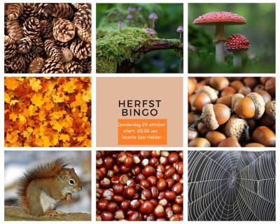*VOL, wachtlijst beschikbaar* Herfst Bingo Den Helder